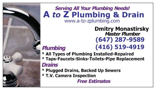 Clogged Drains & Toilets - Z PLUMBERZ Emergency Services